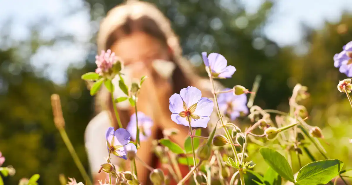 Hay Fever Relief South West London